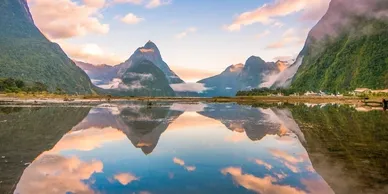 Road Trip in New Zealand